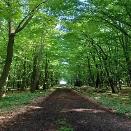 Schoene Mit Gemuetlicher Terrasse Homberg (Schwalm-Eder)
