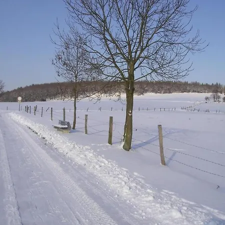 Schoene Mit Gemuetlicher Terrasse