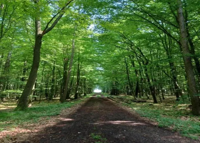 Schoene Mit Gemuetlicher Terrasse Homberg (Schwalm-Eder)