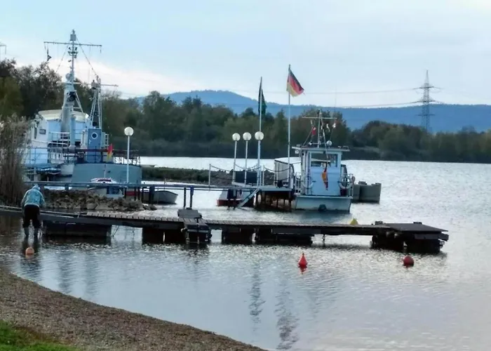 Schoene Mit Gemuetlicher Terrasse Apartamento Homberg (Schwalm-Eder)