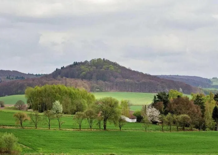 Schoene Mit Gemuetlicher Terrasse *