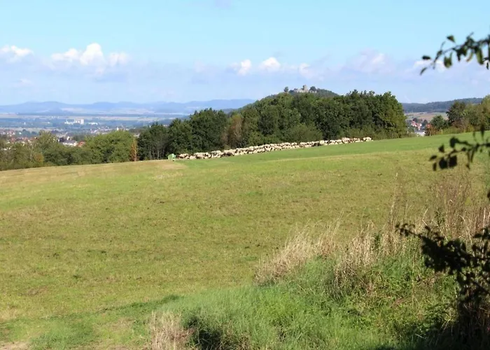 Schoene Mit Gemuetlicher Terrasse Homberg (Schwalm-Eder)