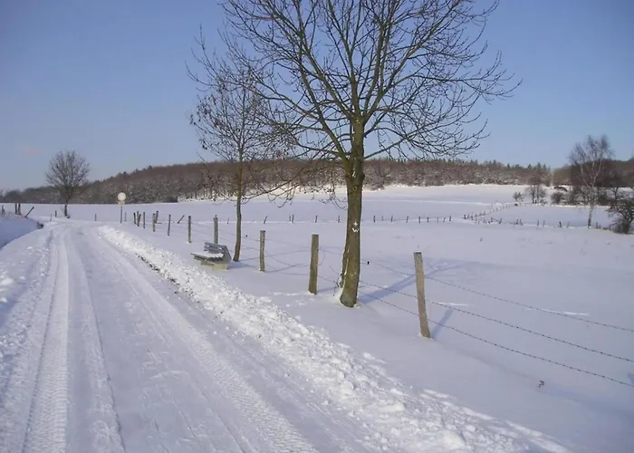 Schoene Mit Gemuetlicher Terrasse